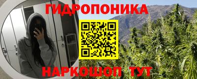 PSILOCYBIN Кулебаки