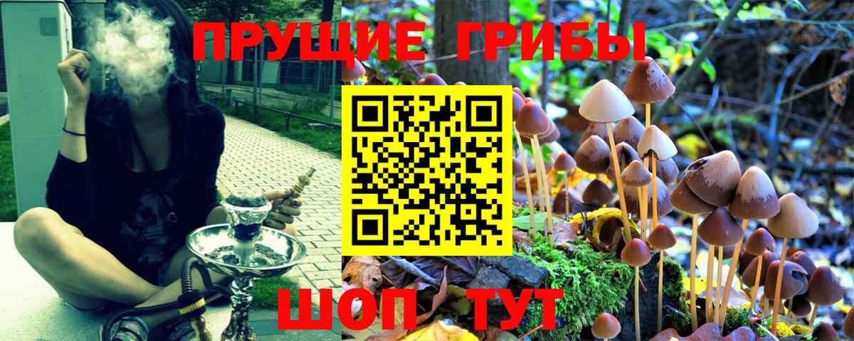 Донецк  Псилоцибиновые грибы MAGIC MUSHROOMS  Вход с VPN 